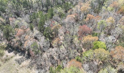 Photo #36 of SOLD property in 105 Vanhorne Road, Columbia, NC 7.4 acres