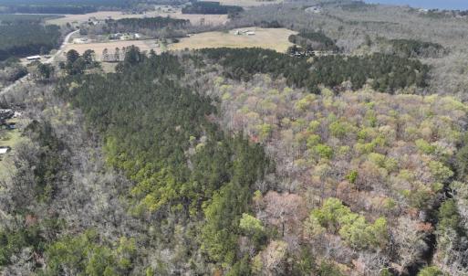 Photo #37 of SOLD property in 105 Vanhorne Road, Columbia, NC 7.4 acres