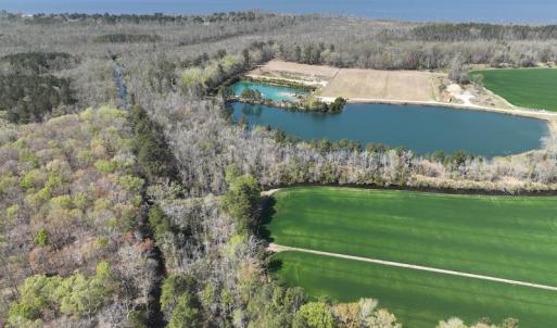 Photo #38 of SOLD property in 105 Vanhorne Road, Columbia, NC 7.4 acres