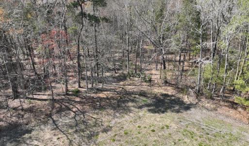 Photo #42 of SOLD property in 105 Vanhorne Road, Columbia, NC 7.4 acres