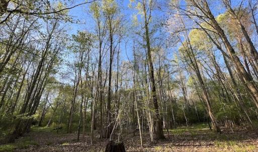 Photo #10 of SOLD property in Off May Blvd, Farmville, NC 30.3 acres