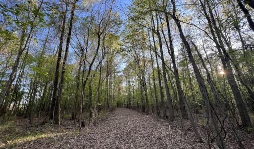Photo #12 of SOLD property in Off May Blvd, Farmville, NC 30.3 acres