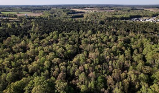Photo #19 of SOLD property in Off May Blvd, Farmville, NC 30.3 acres