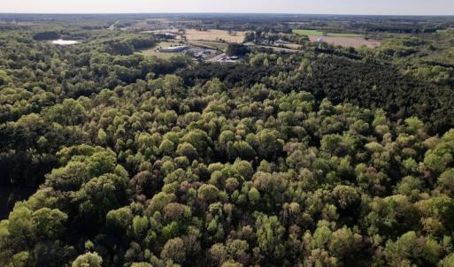 Photo #21 of SOLD property in Off May Blvd, Farmville, NC 30.3 acres