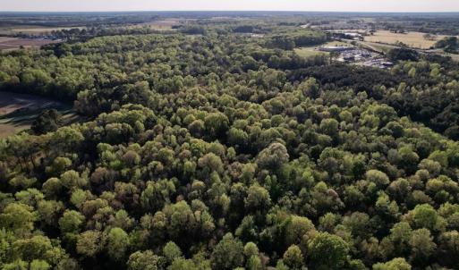 Photo #22 of SOLD property in Off May Blvd, Farmville, NC 30.3 acres
