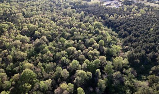 Photo #23 of SOLD property in Off May Blvd, Farmville, NC 30.3 acres