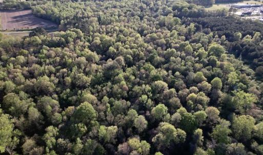 Photo #24 of SOLD property in Off May Blvd, Farmville, NC 30.3 acres