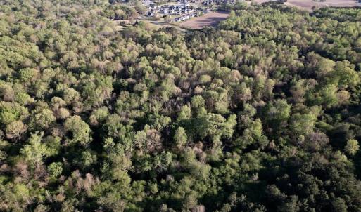 Photo #26 of SOLD property in Off May Blvd, Farmville, NC 30.3 acres
