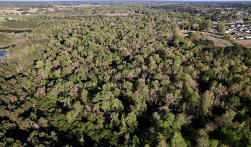 Photo #28 of SOLD property in Off May Blvd, Farmville, NC 30.3 acres