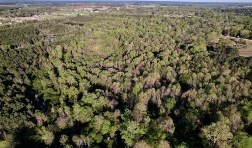 Photo #29 of SOLD property in Off May Blvd, Farmville, NC 30.3 acres