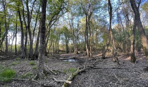 Photo #5 of SOLD property in Off May Blvd, Farmville, NC 30.3 acres