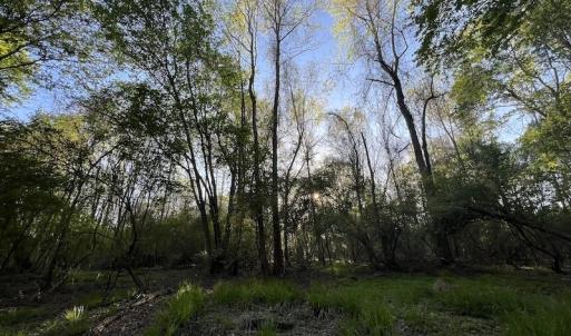 Photo #6 of SOLD property in Off May Blvd, Farmville, NC 30.3 acres