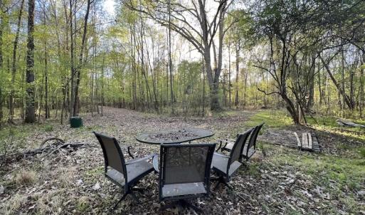 Photo #7 of SOLD property in Off May Blvd, Farmville, NC 30.3 acres