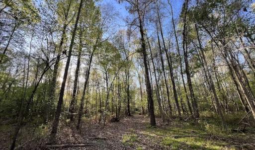 Photo #8 of SOLD property in Off May Blvd, Farmville, NC 30.3 acres