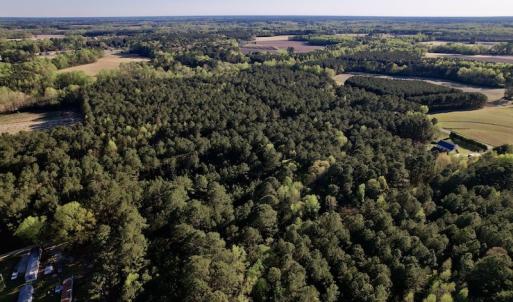 Photo #9 of SOLD property in Off 4th Street , Macclesfield, NC 20.2 acres