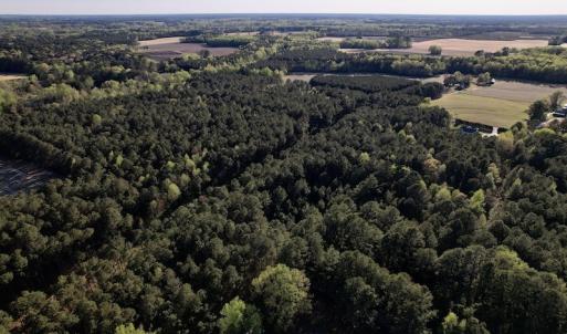 Photo #10 of SOLD property in Off 4th Street , Macclesfield, NC 20.2 acres