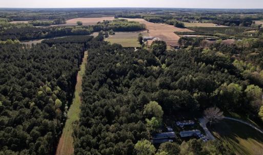 Photo #11 of SOLD property in Off 4th Street , Macclesfield, NC 20.2 acres