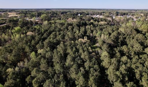 Photo #16 of SOLD property in Off 4th Street , Macclesfield, NC 20.2 acres