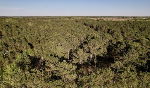 Photo #20 of SOLD property in Off 4th Street , Macclesfield, NC 20.2 acres
