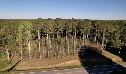Photo #21 of SOLD property in Off 4th Street , Macclesfield, NC 20.2 acres