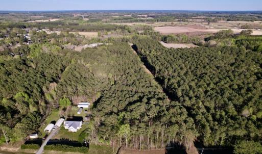 Photo #3 of SOLD property in Off 4th Street , Macclesfield, NC 20.2 acres