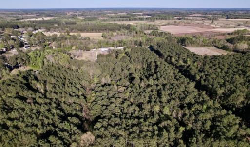 Photo #4 of SOLD property in Off 4th Street , Macclesfield, NC 20.2 acres