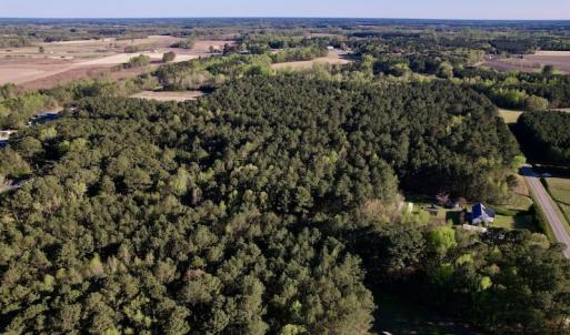 Photo #7 of SOLD property in Off 4th Street , Macclesfield, NC 20.2 acres