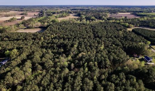 Photo #8 of SOLD property in Off 4th Street , Macclesfield, NC 20.2 acres