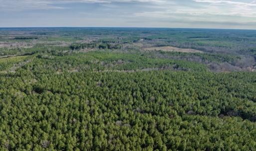 Photo #9 of SOLD property in Off Baltimore Church Road , Warrenton, NC 72.5 acres