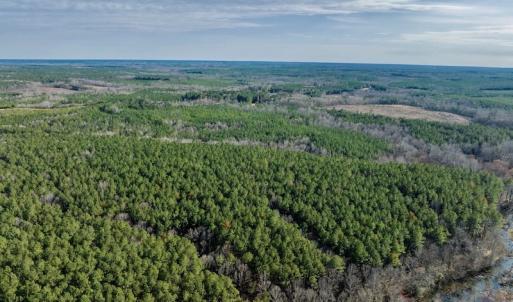 Photo #10 of SOLD property in Off Baltimore Church Road , Warrenton, NC 72.5 acres
