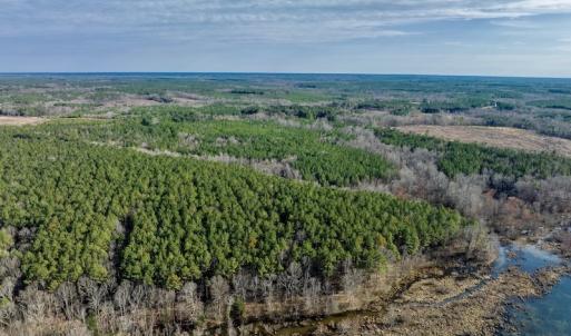 Photo #11 of SOLD property in Off Baltimore Church Road , Warrenton, NC 72.5 acres