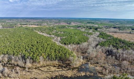 Photo #12 of SOLD property in Off Baltimore Church Road , Warrenton, NC 72.5 acres