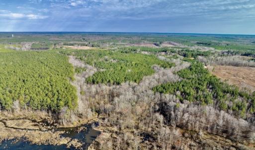 Photo #13 of SOLD property in Off Baltimore Church Road , Warrenton, NC 72.5 acres