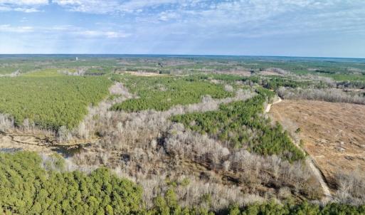 Photo #14 of SOLD property in Off Baltimore Church Road , Warrenton, NC 72.5 acres