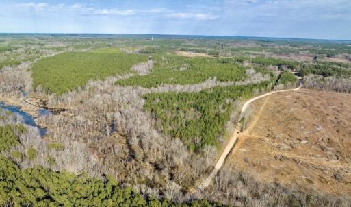 Photo #15 of SOLD property in Off Baltimore Church Road , Warrenton, NC 72.5 acres