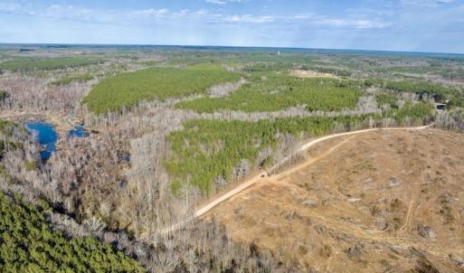 Photo #16 of SOLD property in Off Baltimore Church Road , Warrenton, NC 72.5 acres