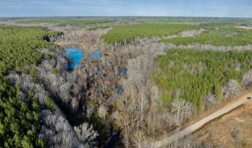Photo #18 of SOLD property in Off Baltimore Church Road , Warrenton, NC 72.5 acres