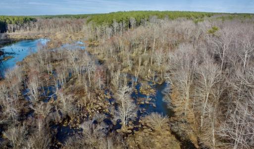 Photo #19 of SOLD property in Off Baltimore Church Road , Warrenton, NC 72.5 acres