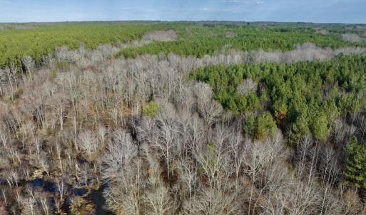 Photo #20 of SOLD property in Off Baltimore Church Road , Warrenton, NC 72.5 acres