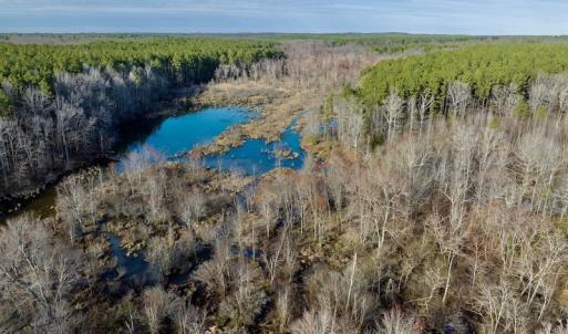 Photo #21 of SOLD property in Off Baltimore Church Road , Warrenton, NC 72.5 acres