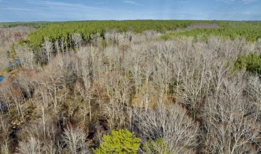Photo #22 of SOLD property in Off Baltimore Church Road , Warrenton, NC 72.5 acres