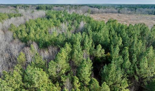 Photo #25 of SOLD property in Off Baltimore Church Road , Warrenton, NC 72.5 acres