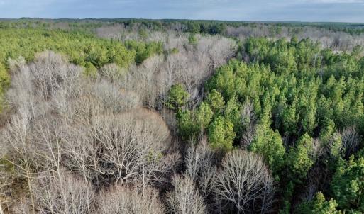 Photo #27 of SOLD property in Off Baltimore Church Road , Warrenton, NC 72.5 acres