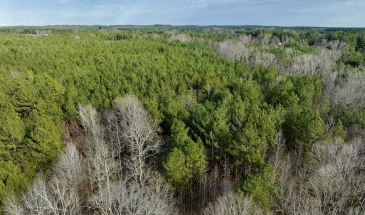 Photo #28 of SOLD property in Off Baltimore Church Road , Warrenton, NC 72.5 acres