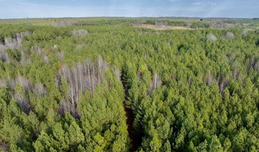 Photo #29 of SOLD property in Off Baltimore Church Road , Warrenton, NC 72.5 acres