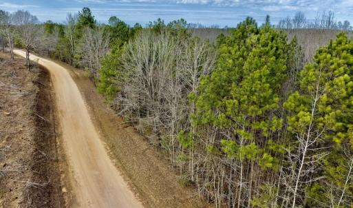 Photo #30 of SOLD property in Off Baltimore Church Road , Warrenton, NC 72.5 acres