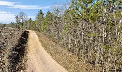 Photo #31 of SOLD property in Off Baltimore Church Road , Warrenton, NC 72.5 acres