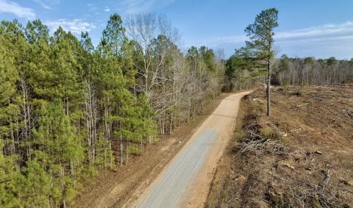 Photo #34 of SOLD property in Off Baltimore Church Road , Warrenton, NC 72.5 acres