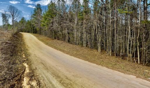 Photo #37 of SOLD property in Off Baltimore Church Road , Warrenton, NC 72.5 acres