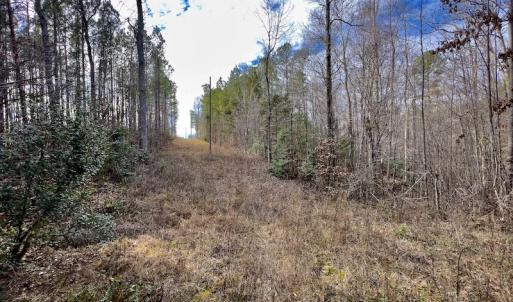 Photo #38 of SOLD property in Off Baltimore Church Road , Warrenton, NC 72.5 acres